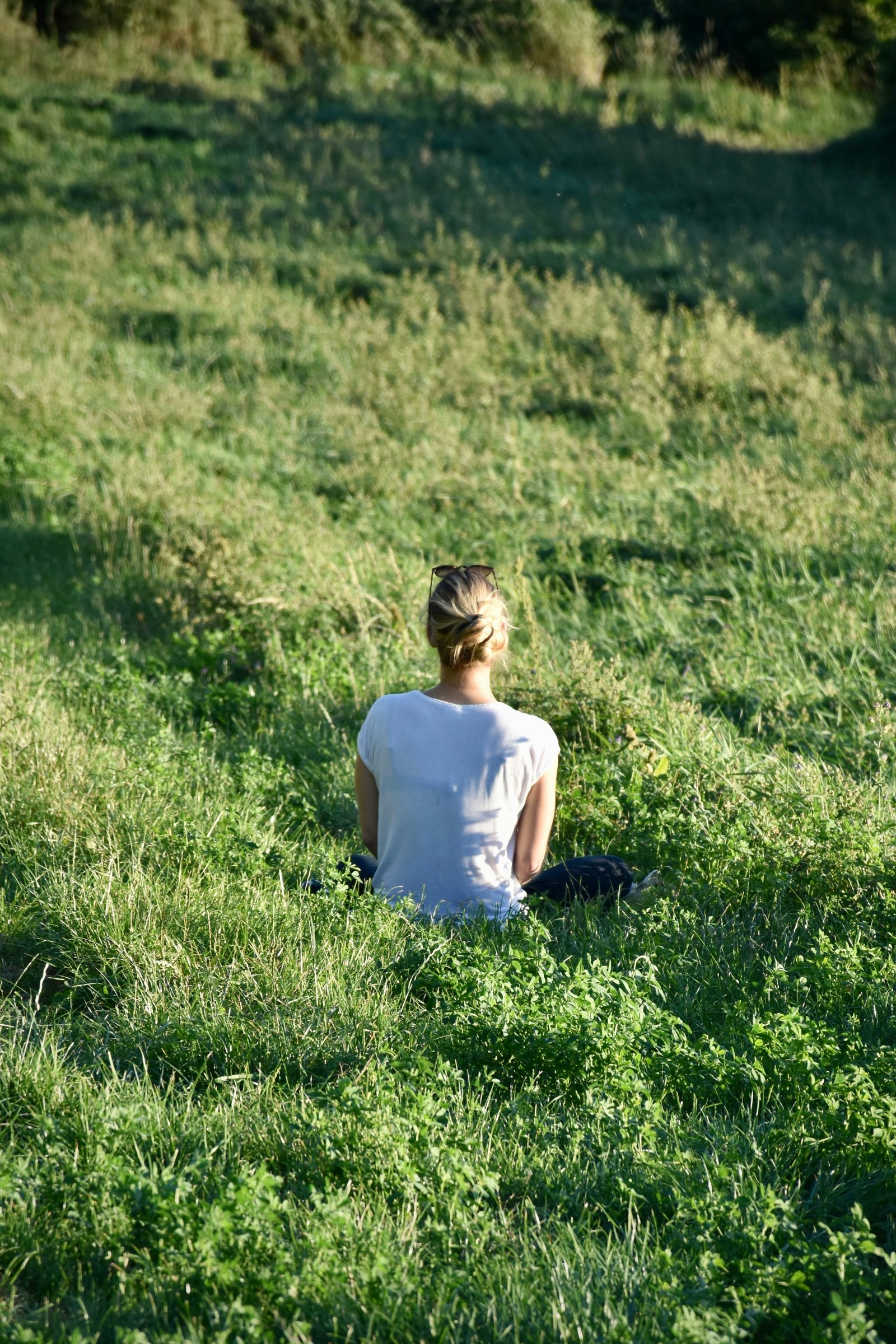 Meditazione zen nella natura