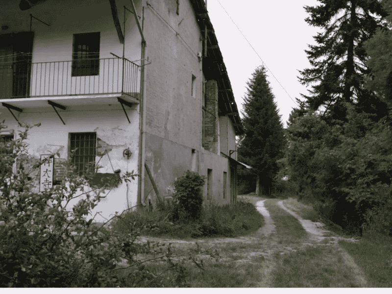 Percorso boschivo